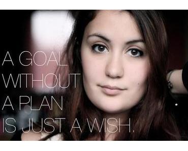 Vorsätze 2014 - Ziele erreichen