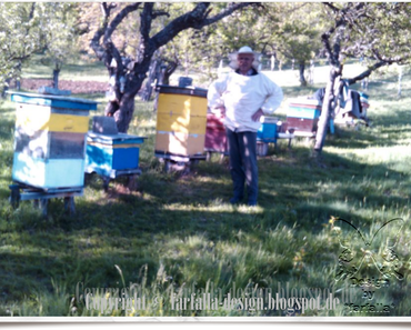 In den Topf geschaut * Honig-Zitrus-Sirup gegen Husten und Halsschmerzen