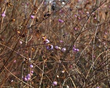 Stadtspaziergang Hamburg 2 | 2014