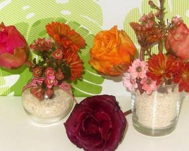 Wachsblumen