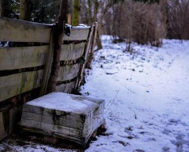 Der letzte Schnee