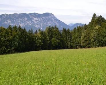 Die stimmige Tischdekoration für den Frühling