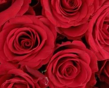 wallpaper-1689754