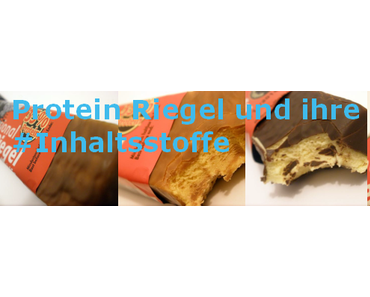 Power System Protein oder Eiweißriegel im Geschmackstest
