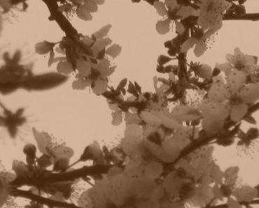 wallpaper-1689754