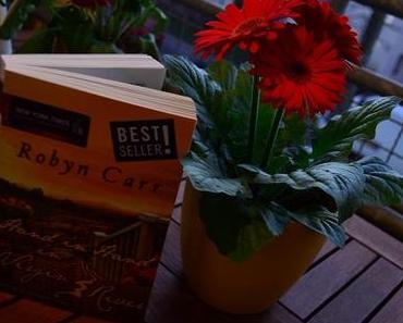 “Hand in Hand in Virgin River” [Lesenswertes]