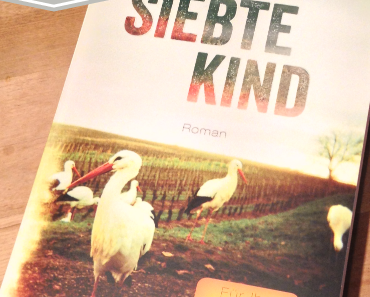 [Rezension] Das siebte Kind von Erik Valeur
