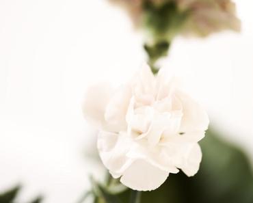 wallpaper-1689754