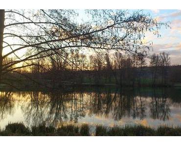 Über Glück im Unglück