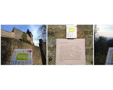 Ducasse auf Reisen - in Hessen gibt es heute: Spargelsuppe