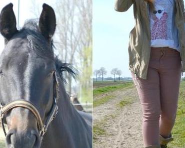 {Schuhe} Das hat man davon, wenn man nicht richtig aufpasst...