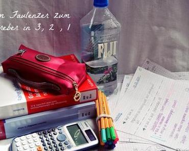 Das Leben Wie Ich Es Liebe: Oder Auch - Vom Faulenzer zum Streber