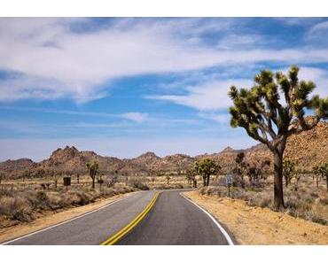 JOSHUA TREE NATIONAL PARK – Von Hinkelsteinen, Yucca Bäumen und der Biebel