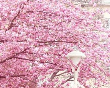 Frühlingswochenende