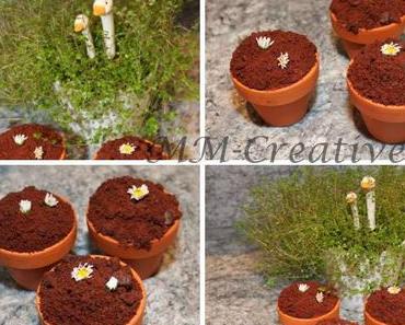 Na was habe ich da gesät???