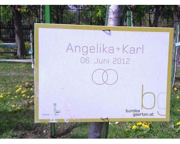 Kreatives Hochzeitsgeschenk Part I