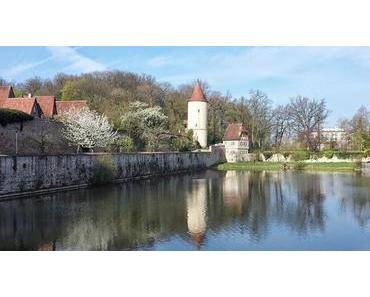 Wochenrückblick 15/14