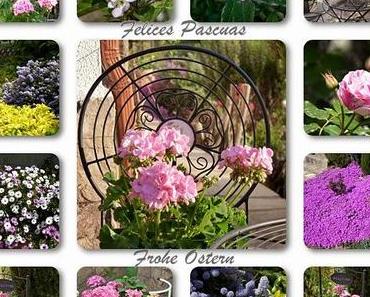 Mit diesen Bildern aus meinem Garten wünsche ich allen me...