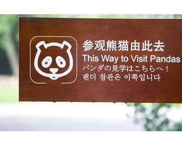 Reisen: Chengdu Pandabase