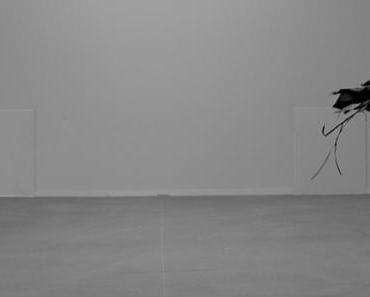 wallpaper-1689754