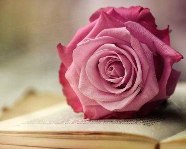 wallpaper-1689754