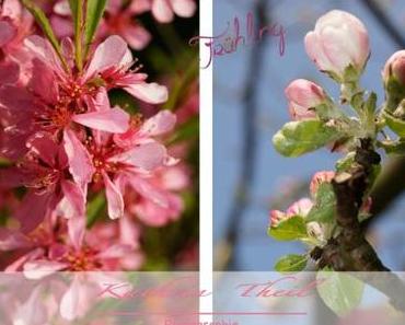 Meine April – Favoriten ♡