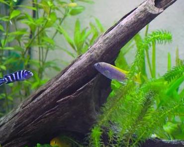 Details of my Week #10