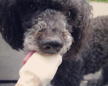 Van der Hellscher Wochenrückblick - Gedanken