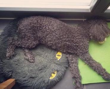 Van der Hellscher Wochenrückblick - mit Rezeptlink