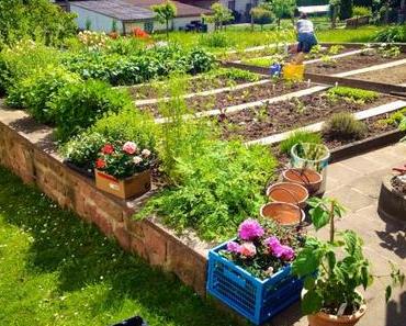 Focaccia, Roggenmischbrot, Auberginen und Gartenarbeit