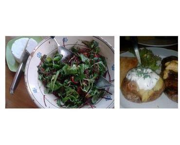 Das Zauberwort Bioverfügbarkeit