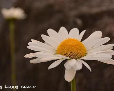 Mein Hang zu alten Dingen....