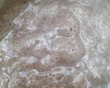 Die Königsklasse des Brotbackens das Sauerteigbrot Teil 3