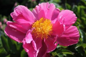 Still war es in letzter Zeit