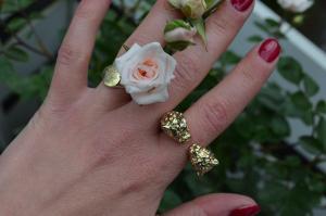 NEW IN: Ein Ring der mich arm gemacht hat