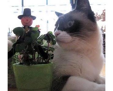 Sylvester ist da - und Teamzuwachs auch