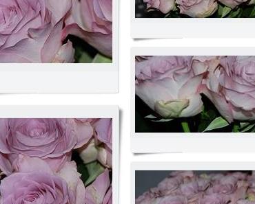 wallpaper-1689754