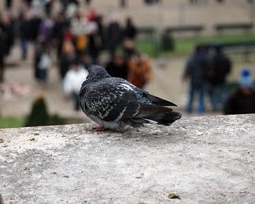 Réveillonner à Paris