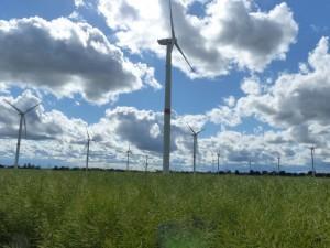 Förderung von erneuerbaren Energien mit dem richtigen Ökostromversorger