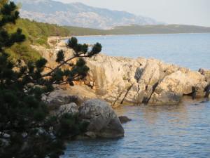 wallpaper-1689754