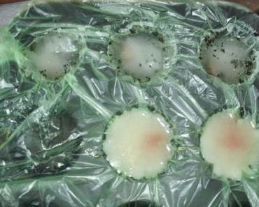 Milch-Honig und Basilikum-Wasser Eis für den Hund!