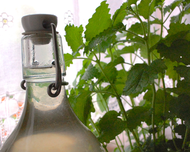 ZITRONENMELISSESIRUP