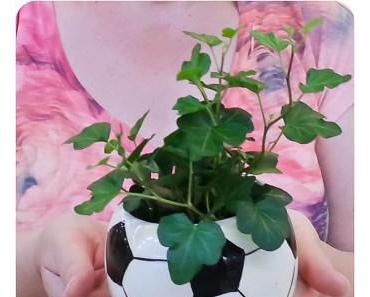 Brazil 2014: Neulich im Baumarkt….