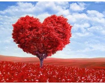 BastelTräume # 41 - Fotoinspiration