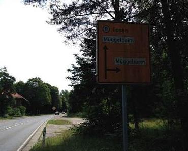 Der Müggelturm in Berlin – Aussicht ins Grün