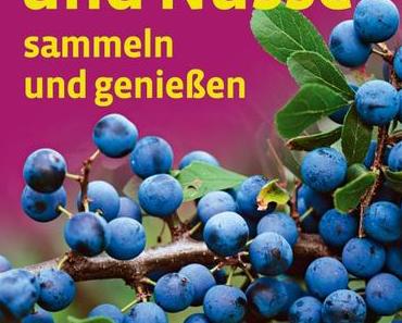 Wildbeeren und Nüsse