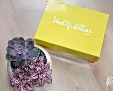 medpex Wohlfühlbox Juni '14