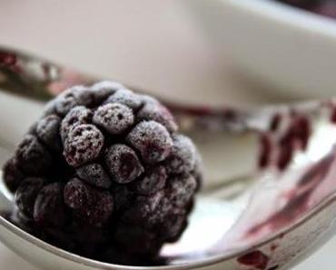 [Ni] Homemade Beeren-Schmand-Eis {Rezept}
