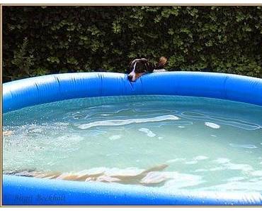 Ich will schwimmen...