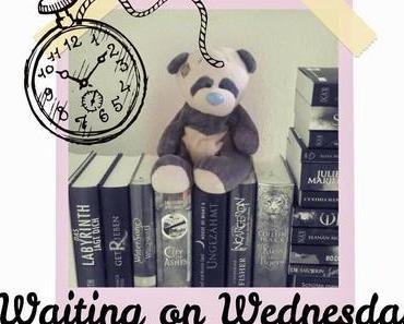 Waiting on Wednesday #13